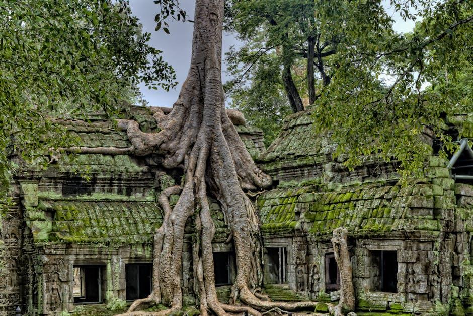 Embracing Heritage as a Source of ⁣Strength