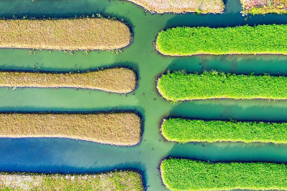 Unlocking the Secrets of Successful ⁤Channel Growth