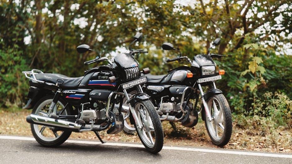 Explore the Journey of the Unsung Hero Behind the Camera