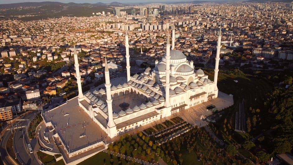 Maximizing Your Offline Viewing Experience with Downloaded Videos