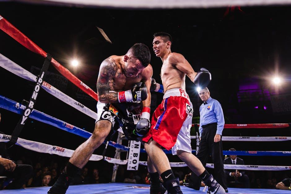 Monetizing Your Live Boxing Streams: What You Need to Know