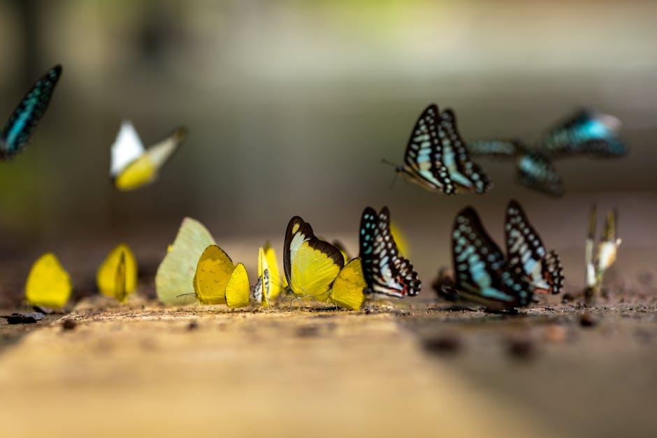 Step-by-Step Guide to ⁣Attaching‌ Butterfly‌ Hinges ⁣Like a Pro