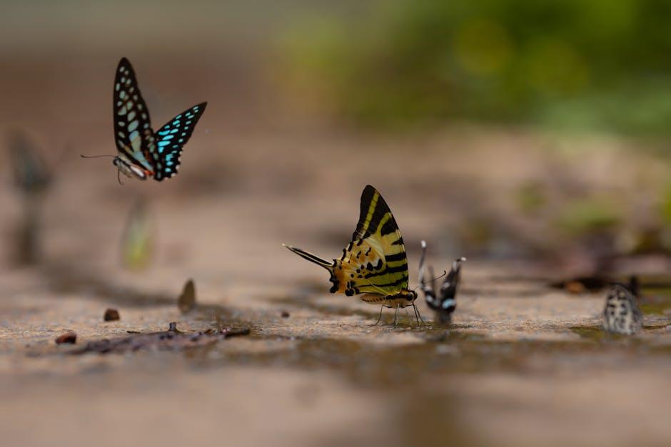 Choosing the Right Butterfly Hinges for Your Screen ⁢Door