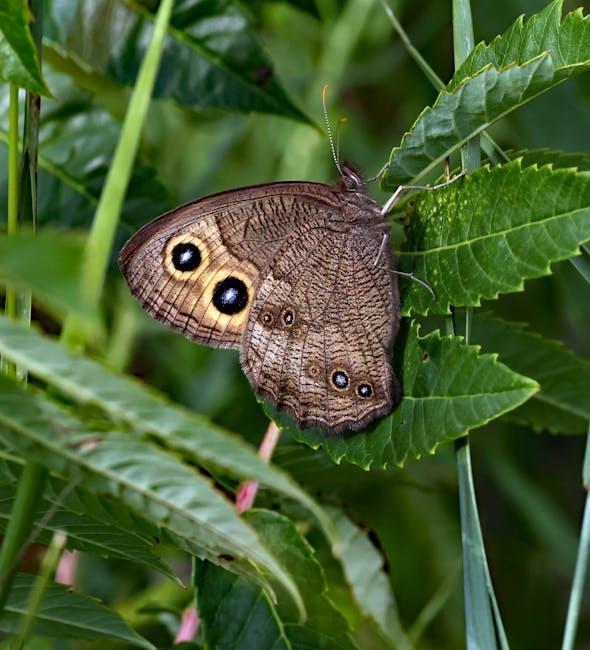 The Hidden ⁣Costs of Content Creation