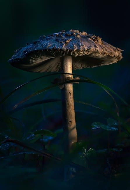 Step-by-Step Guide‌ to Disabling HDR on Different Devices