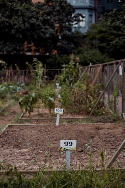 Building an Engaged ⁢Community during‌ Your Transition