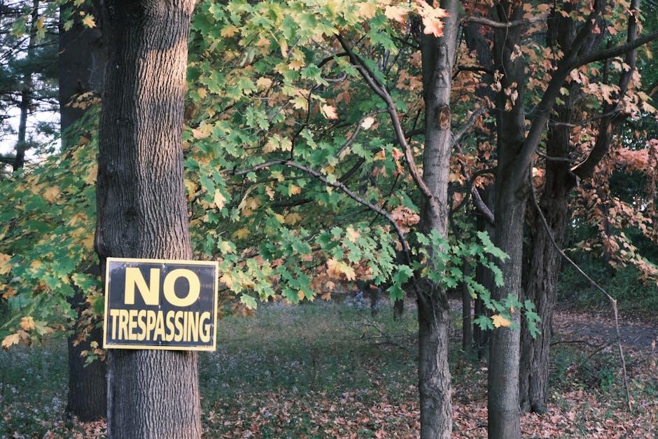 Protecting Your Privacy: Additional Tips Beyond YouTube History