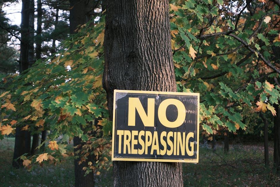 Mastering Your Recommendations by Fine-Tuning Your Views