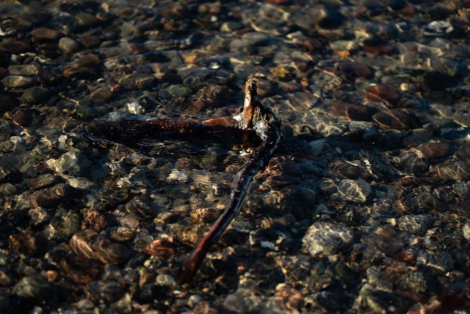 Engaging with ‍the Community: EDGs Approach to Fan​ Interaction