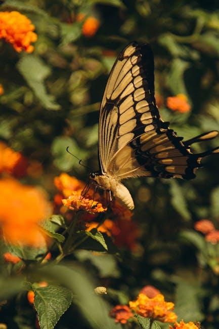 Easy Steps to Install Butterfly Hinges on Your Screen Door