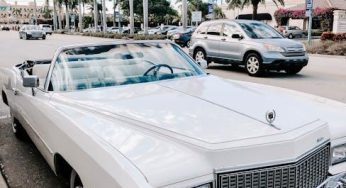 When in Miami: Uncovering the Magic on YouTube Adventures
