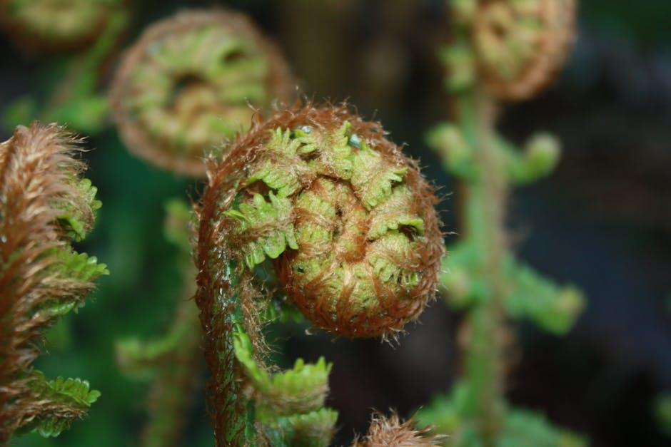 Best Practices for Adding Links to Your YouTube Bio