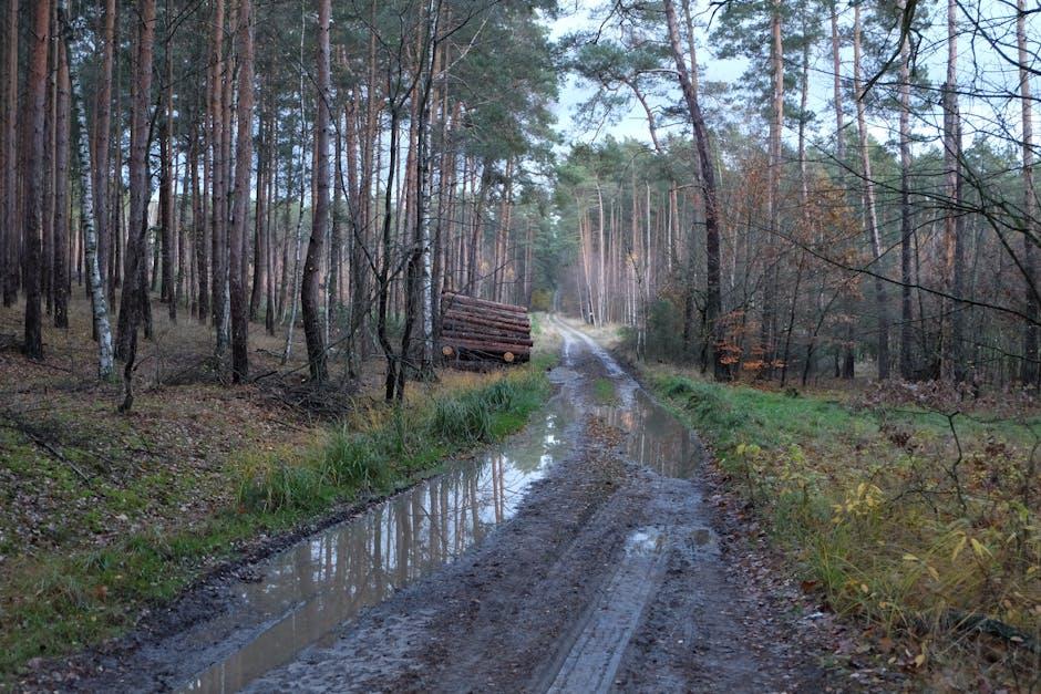 Understanding the Importance of Logging Off YouTube for Your Privacy