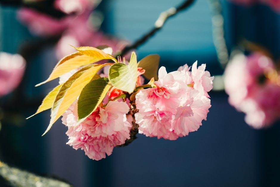 Exploring How Brightness ⁣Enhancements Impact Your Viewing Experience