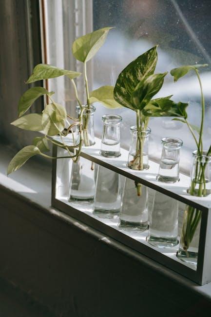 Getting to Know Your Pothos: The Secret Life of a Green Companion