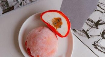 Quick & Easy Mochi Ice Cream: Your Perfect DIY Treat!