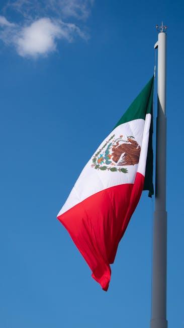 Choosing the Right Dimensions and Layout for Eye-Popping Results