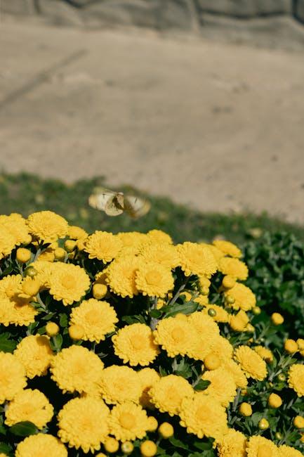 Choosing the ⁤Right Butterfly Hinge for Your Screen Door Experience