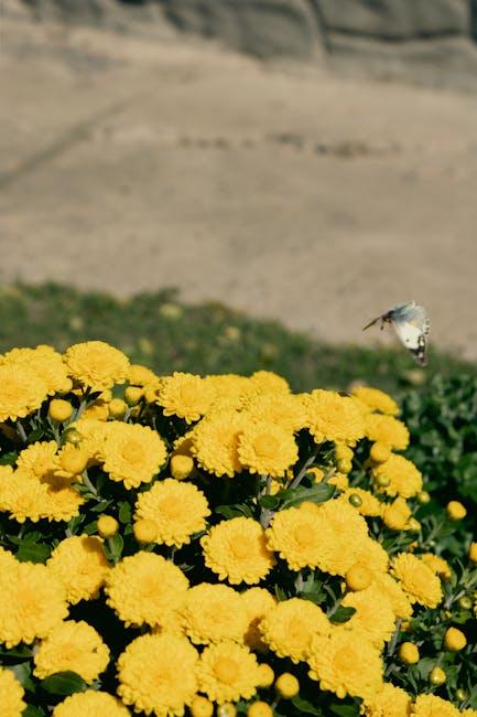 Troubleshooting ⁢Common Issues with Butterfly⁢ Hinges