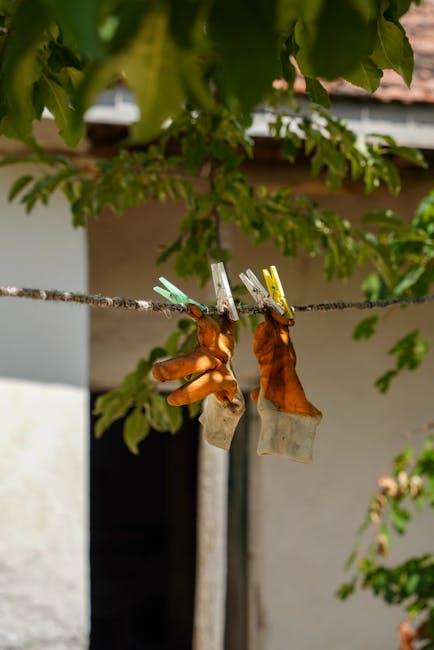 Choosing‌ the Right Tools: ‍A User-Friendly ‍Guide to Downloading