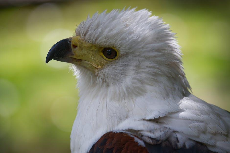 Break Free from the Infinite Scroll: The Hidden Costs