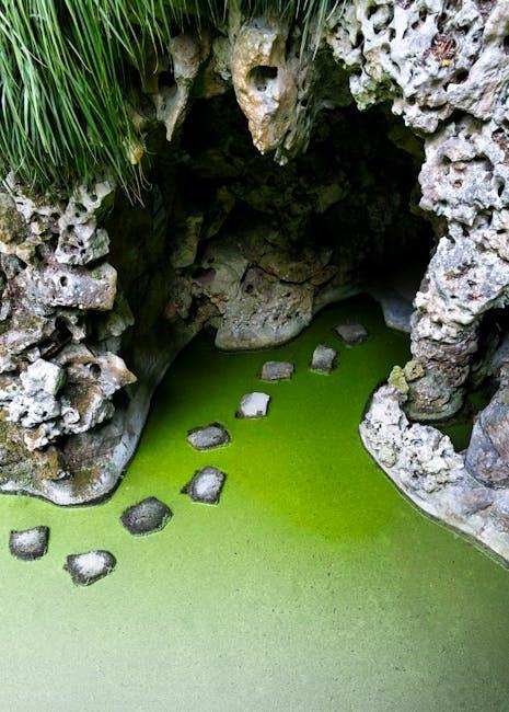 Finding Your Niche: Discover What Sets You Apart