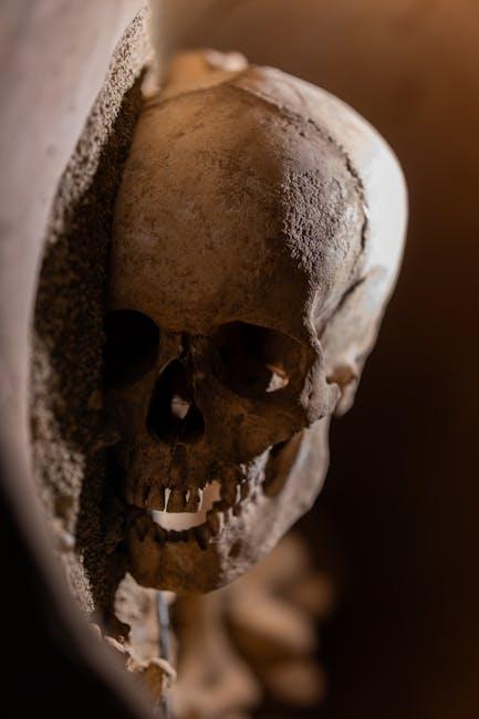 Diving into ​Creative Waters: The⁢ Unique Content that Sets Them ⁣Apart