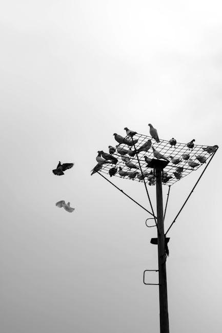 Tips for Maximizing Your NFL Network Experience