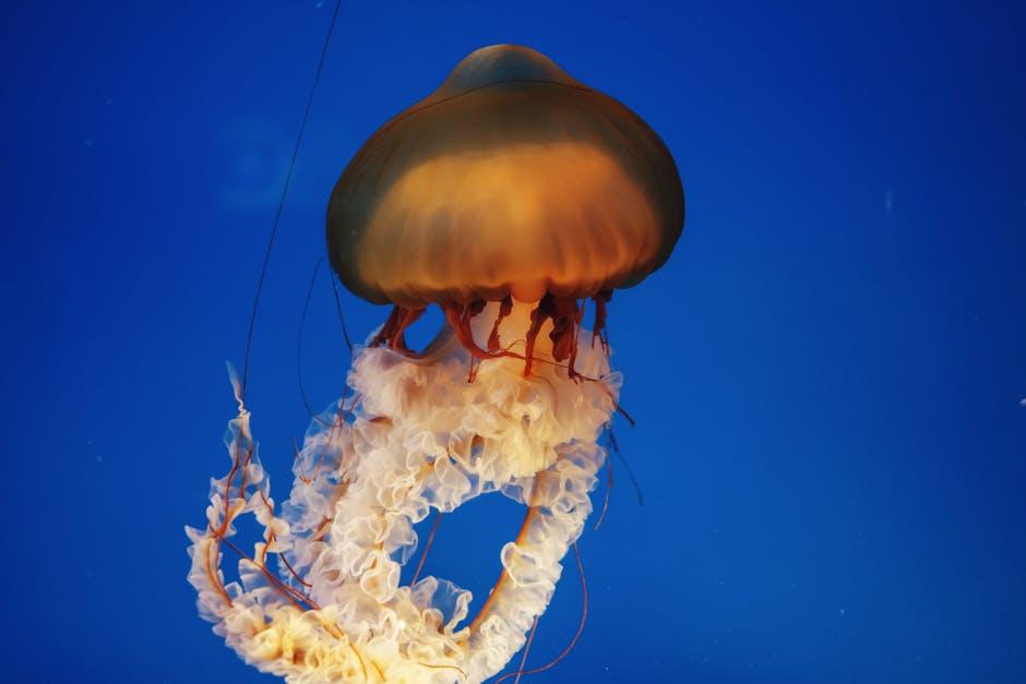 What Happened to YouTuber Jelly? The Surprising Truth!