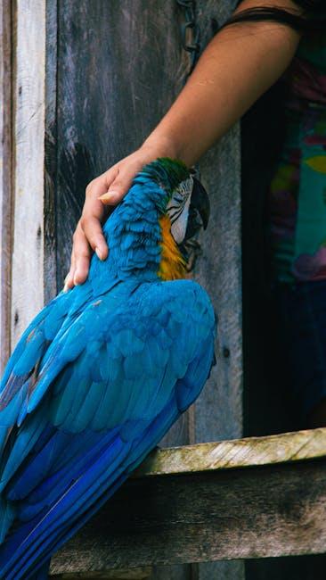 The Reality Behind the Feathers: Are Those Tricks Authentic or Staged?