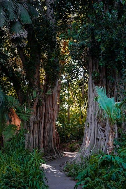 Keeping It Clean: Tips for Maintaining Your YouTube Privacy Going Forward