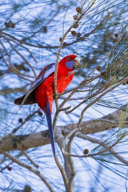 Unscripted or Scripted? The Truth Behind ParrotX2 Videos!