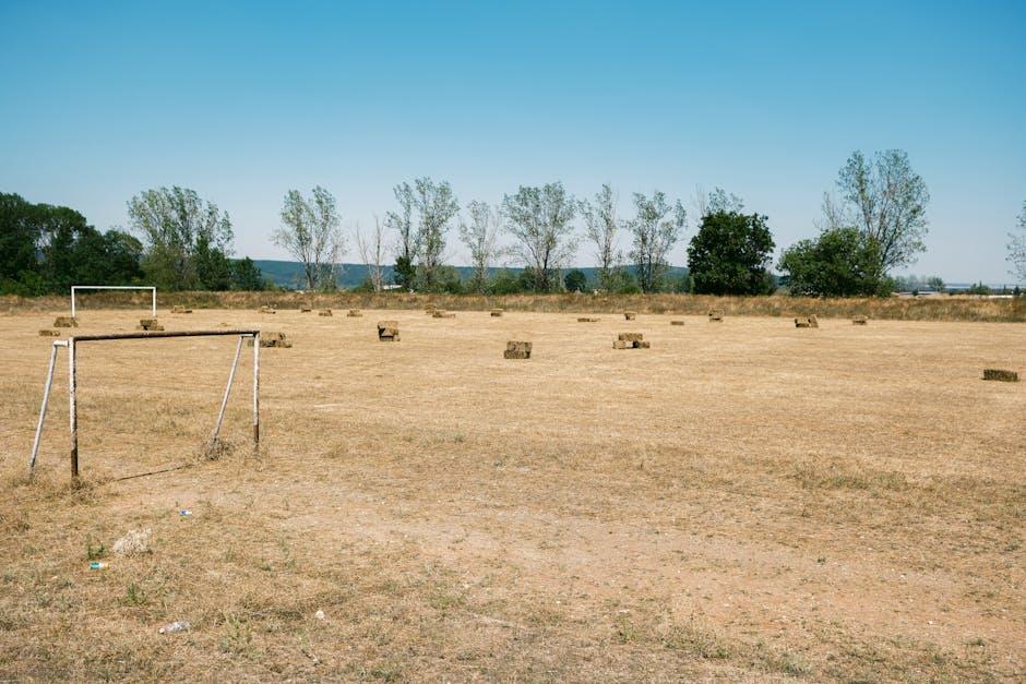 Can You Catch Bally Sports on YouTube TV? Let’s Find Out!