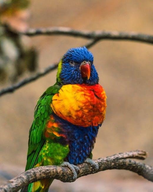 Spotting the Signs: ​How to Tell If a⁤ Parrot Video is ⁢Genuine