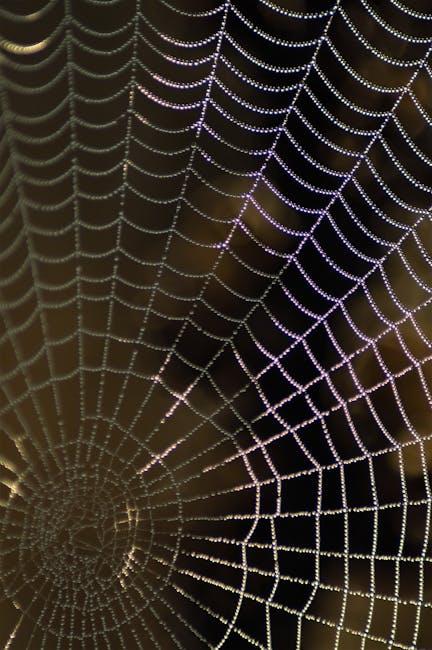 Can You Catch MLB Network on YouTube TV? Here’s the Scoop!