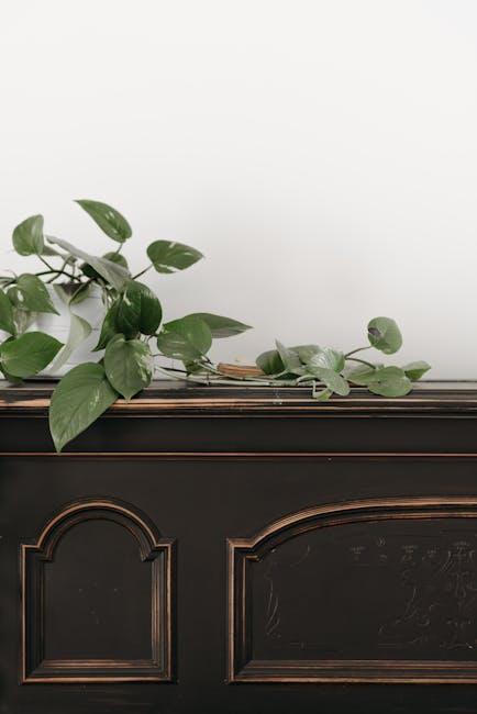 Snip Your Way to a Thriving Pothos: Trim Like a Pro!