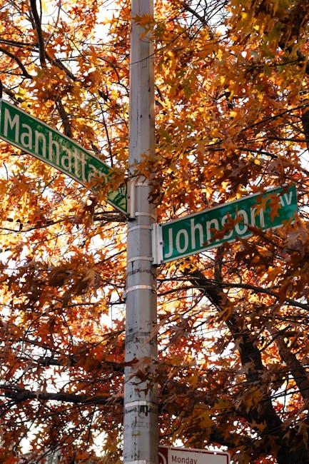 Benny Johnson on YouTube: Unpacking His Revenue Success