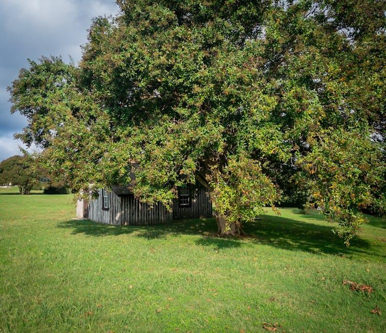 Master Your Privacy: Make Your YouTube Profile Private Today!