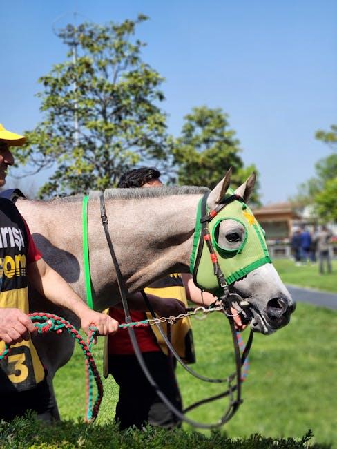 Is ESPN on YouTube TV? The Ultimate Sports Streaming Guide!