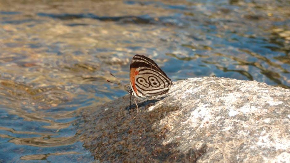 Step-by-Step Installation Tips to Ensure Smooth ‌Operation