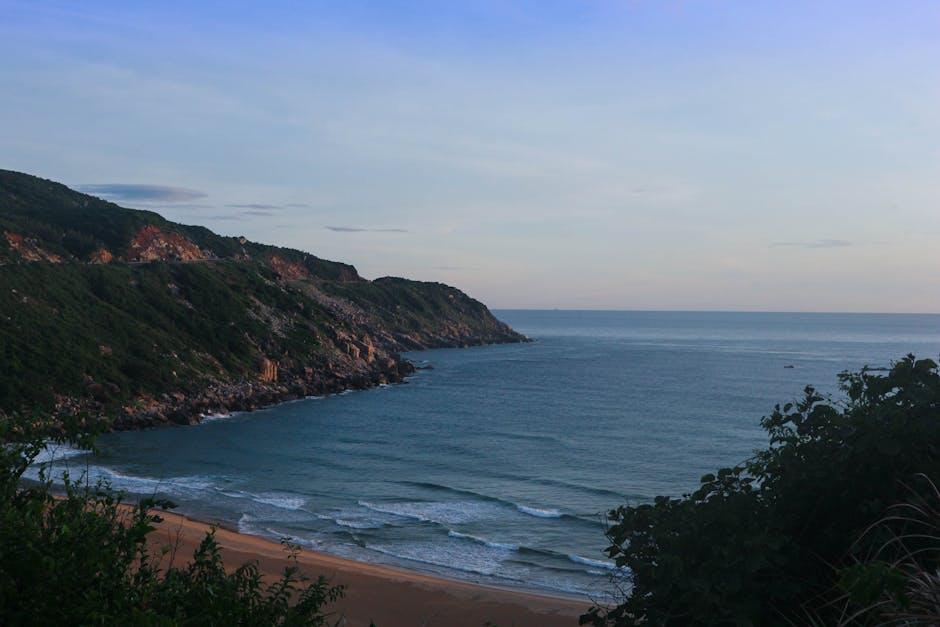 Is EDG Launching a YouTube Channel for Valorant Fans?