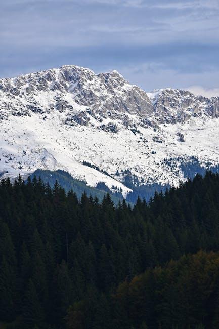 Does EDG Have a Valorant YouTube Channel? Let’s Find Out!