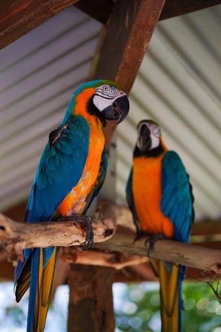 Understanding the Parrot Video Phenomenon and Its Popularity
