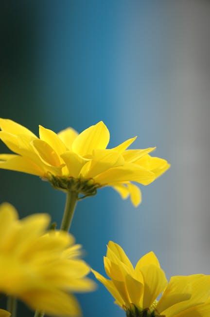 Unraveling Daisy Duke’s Age: The YouTube Sensation Revealed!