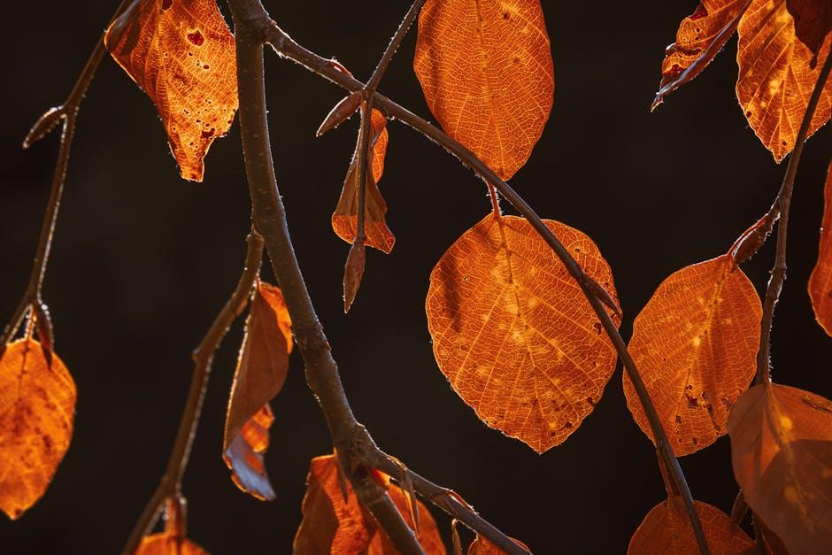 Easy Steps to Change Your YouTube Username Today!