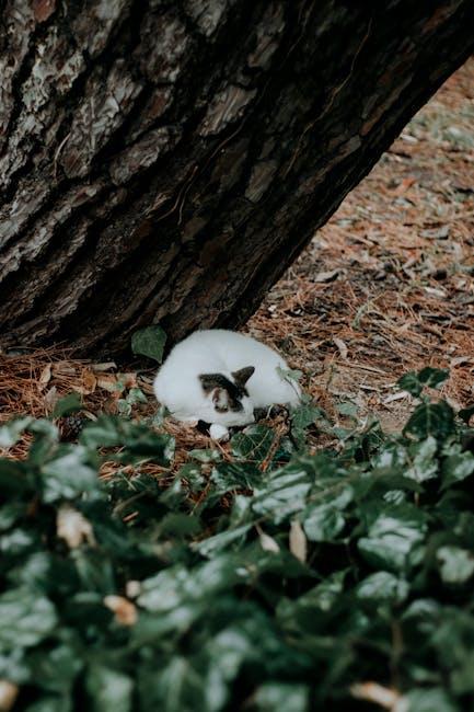 Strategies for Maximizing Engagement Despite Hidden Feedback