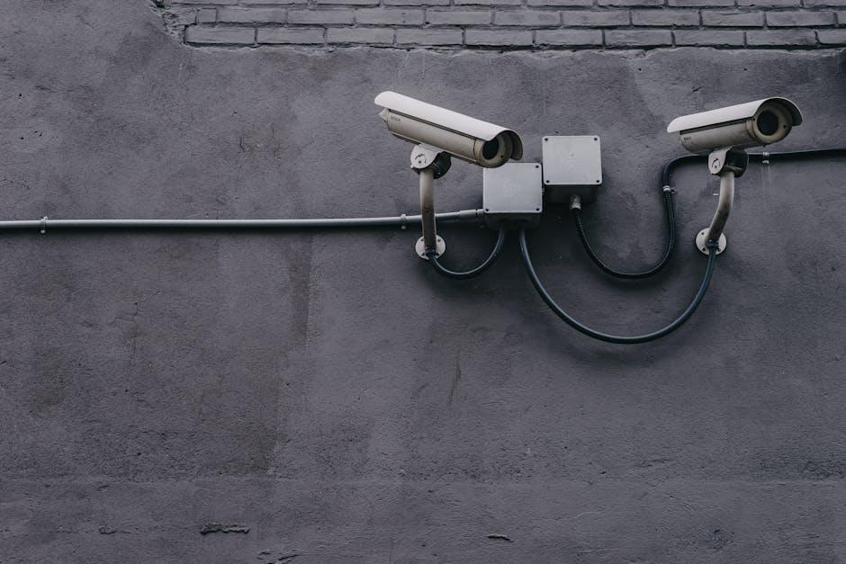 What Happens​ to ⁤Your Content: The‌ Lowdown on Data and‍ Privacy