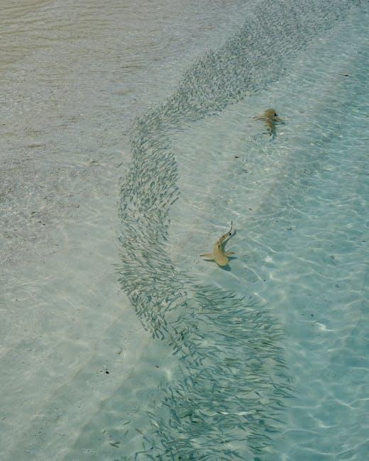 Understanding the Magic Behind the Numbers: Why Baby Shark Captured Hearts Worldwide