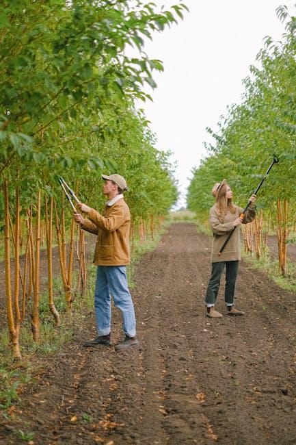 Pruning for Perfection: Techniques That ⁤Will Boost Your Harvest