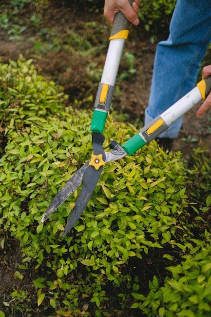 Tools‍ of the Trade for ⁢Effective Pruning